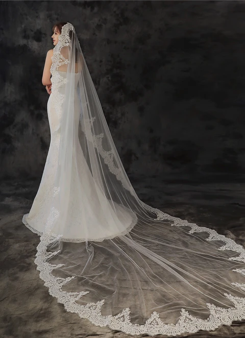 Single Tier Trailing Long Veil With Matching Lace Appliques